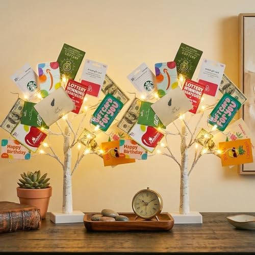 EAMBRITE Money Tree Gift Holder, Gift Card Tree 2FT 24LED, Lighted Birch Trees Battery/USB Powered Timer Photo Display with 24 Clips and 12 Cards for Home Graduation Christmas Picture Memo 2 Pack by EAMBRITE