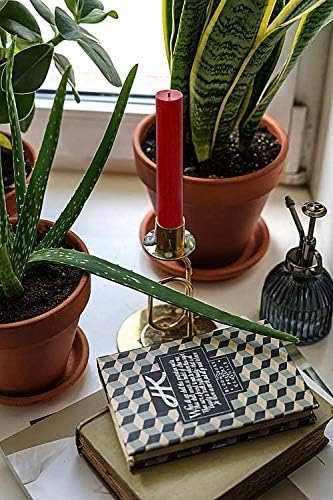 Hyoola 10 Inch Dinner Candles - 12 Pack - Red Tall Unscented Rustic Long Burning Candle Sticks - Image 6
