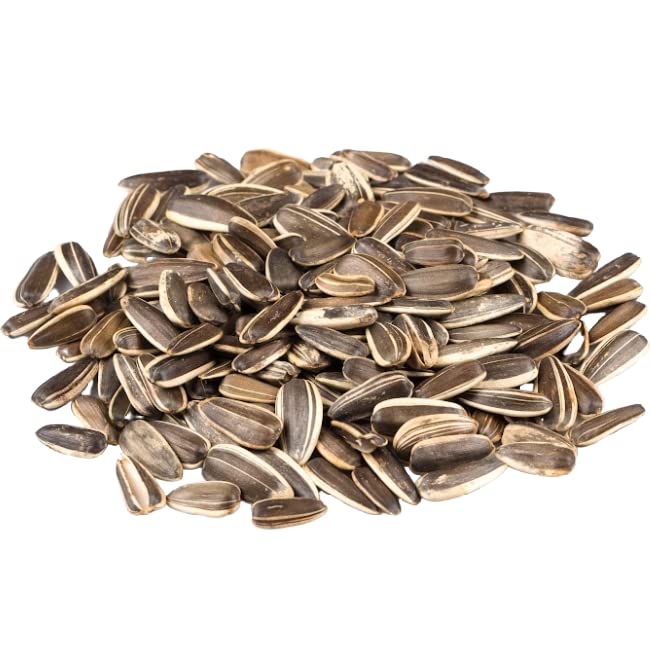 Gerbs Jumbo Lightly Sea Salted Whole Sunflower Seeds 14 oz. | Small Batch, No Artificial Additives, Resealable Bag | Crack-and-Eat Crunchy Snack | Top 14 Allergen-Free