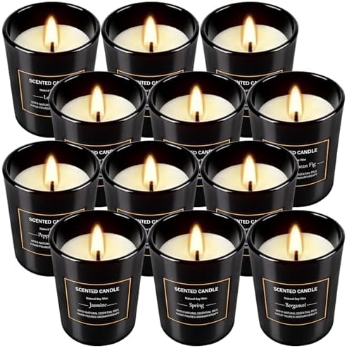 12 Pack Scented Black Candles Gift Set for Dad, Soy Wax Aromatherapy Candles for Home, 12 Masculine Fragrances, Gift from Daughter/Son for June Holiday, Stress Relief & Relaxation for Men by YIH