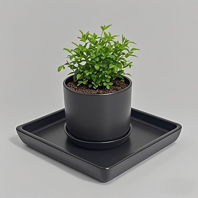 Square Ceramic Plant Saucer Tray 2 Pcs 6 7 8 Inch Black, 8" OD x6.7 ID x1.2 Deep, Sturdy Heavy Duty Glazed Planter Drip Flower pots with Catch Basin for Indoor Outdoor Plants(8" Black)