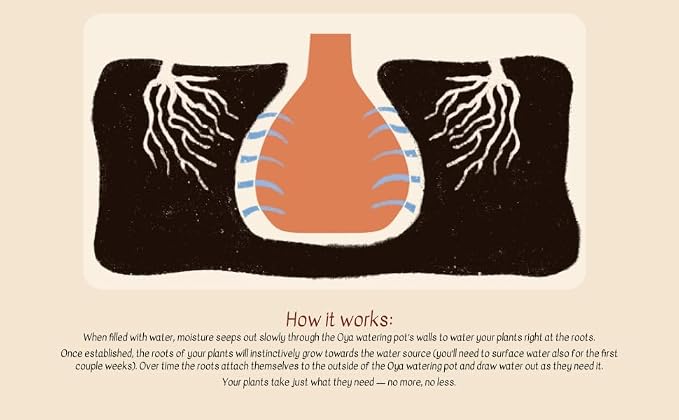 Growoya Garden OYA Medium Watering Pot Plant Irrigation System Sustainable Traditional Olla Watering Smart Underground Watering Available for Garden Beds Raised Beds and Grow Bags