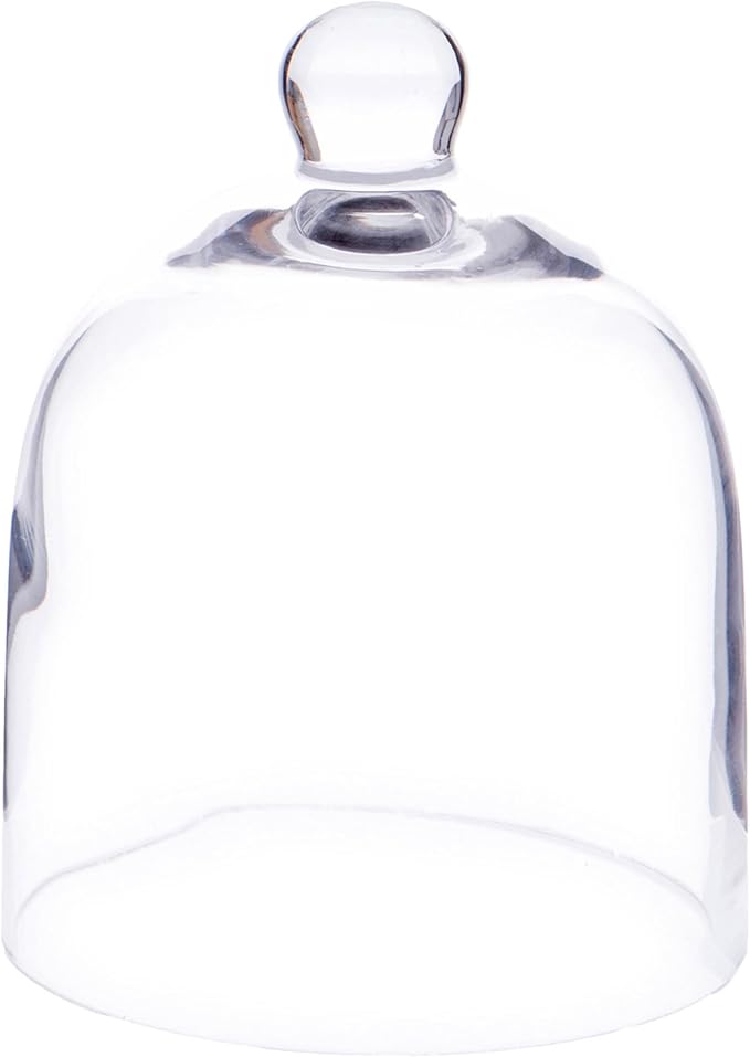 Plymor 5" x 6" Bell Jar Glass Display Dome Cloche (Interior Size 4.75" x 4.5")