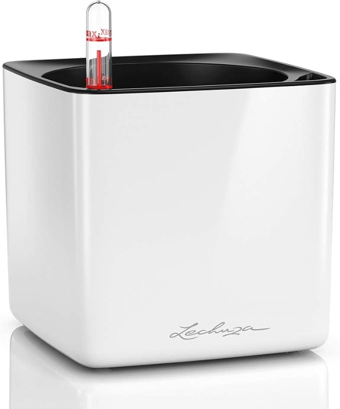 Lechuza Cube Glossy 14 Cream White High Gloss, Self-Watering Indoor Small Plant Pot, H5.5 L5.5 W5.5 in