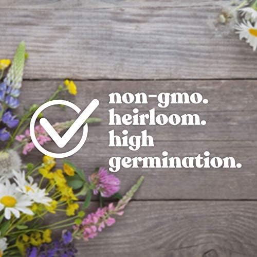 Mountain Valley Seed Co Wildflower Seed Bulk, 3 Oz. 80,000+ Seeds | 19 Non-GMO Flower Seeds for Shade, Annual & Perennial Wildflower Mix for Partial Shade—Shade Tolerant