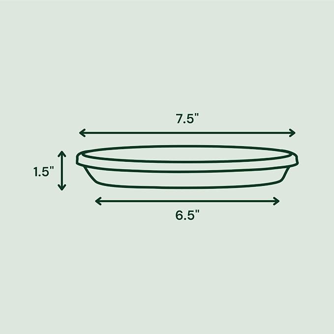 Bloem 8" Terra Round Plant Saucer, Lightweight UV-Resistant Resin Outdoor & Indoor Flower Pot Tray - Fits 8-inch Planter Pots, Pebble Stone