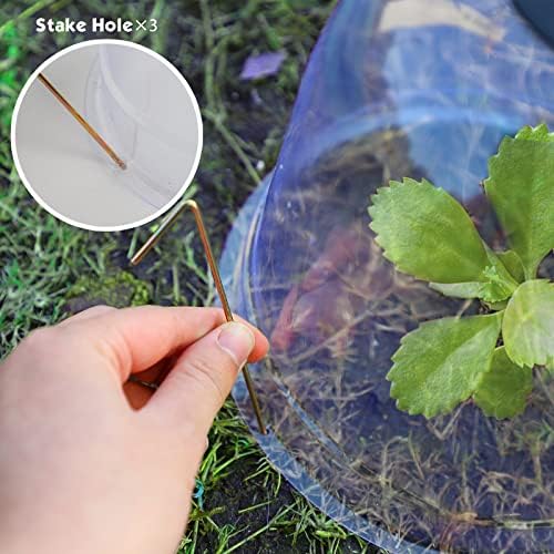 MorTime 6 Pack Garden Cloche Plant Dome, 7.3" D x 6.9" H Plastic Plant Bell Cover Reusable Mini Greenhouse with 18 Ground Securing Pegs & 10 Plant Labels for Outdoors Frost Freeze Protection - Image 4