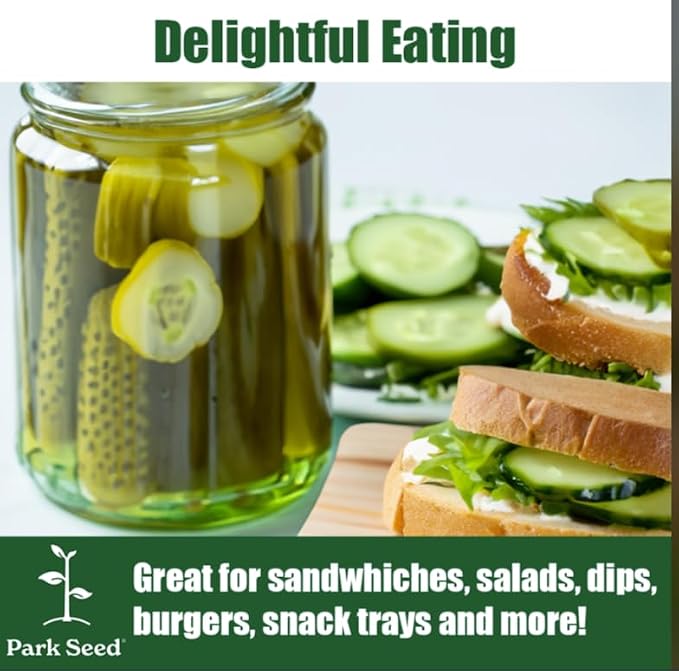 Park Seed Variety of Cucumber Seeds, Planting Cucumbers, Vegetable Seeds, Easy to Grow, Non-GMO, Perfect for Harvesting, Mini-Me F1 Organic, 2 x Pack of 10