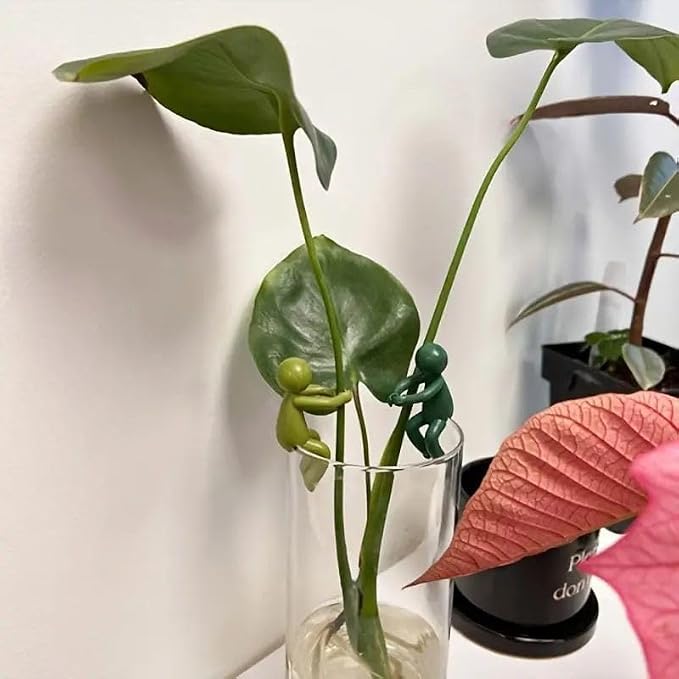 Plant Supports for Indoor Plants - Hydroponic Plant Propagation Station with Prop Drops for Plants Lovers and Water Propagation Buddies 3-Piece