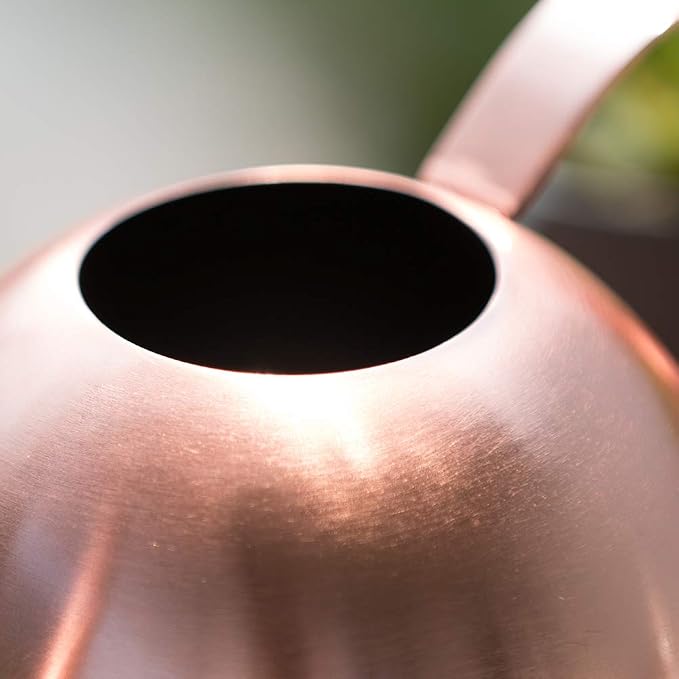 Watering Can for Indoor Plants, 30oz Long Spout Stainless Steel | Long Spout Design Delivers Precise Watering Directly To Plant Roots
