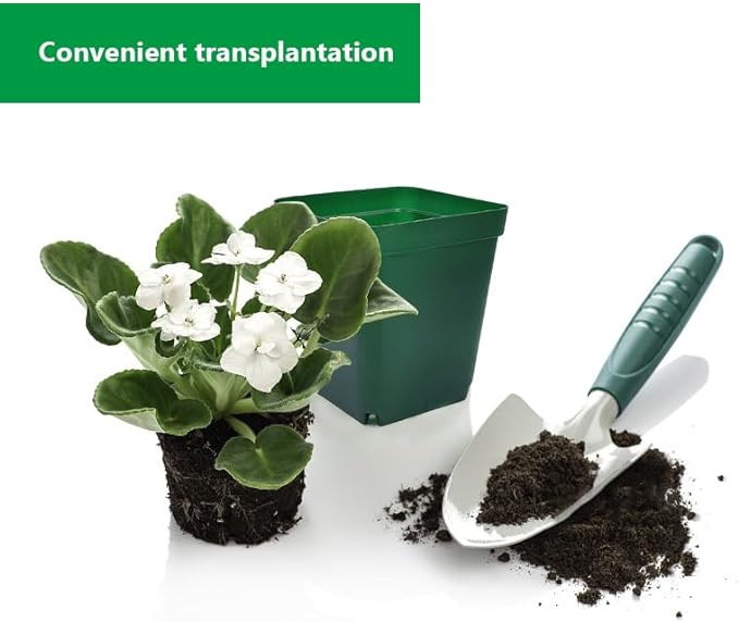 RooTrimmer Square Nursery Succulent Pots 4 Inches 60 Pcs Deep Flower Plant Nursery Seedling Grow Pots Plastic with Drainage (Green, 4Inches, 60Pcs)