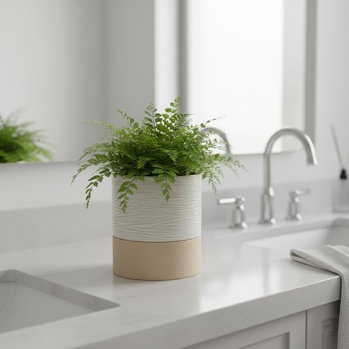 Nihow Ceramic Self Watering Plant Pot for Indoor Plants, 6 Inch,Cream White | Planter with Cotton Wick, Drainage Hole & Water Storage Plus, Cylinder Round Flower Pot, For Succulent/Herbs/Violets
