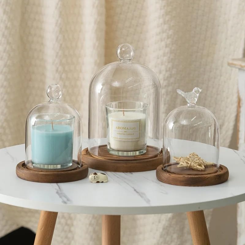 12 * 16cm Big Size Antique Base Different Top Glass Dome Vase Home Decoration Transparent Candle Cover Wedding Friend Favor Gift (1set Star Dome Base) - Image 4