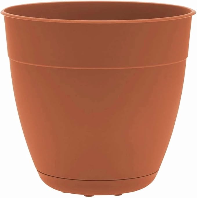 Bloem Dayton 6" Plastic Planter - 100% Recycled Plastic Indoor/Outdoor Garden Pot with Drainage Holes & Saucer Tray, Terra Cotta
