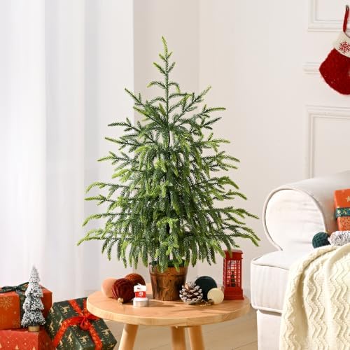 BLEUM CADE 2FT Small Norfolk Pine Tree with Pot, Table top Christmas Tree - Image 3