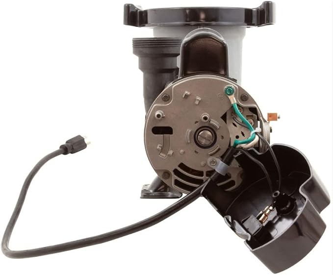 Waterway Plastics Waterway Hi-Flo II Above Ground Pool Pump 115 Volts