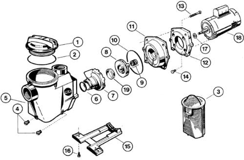 Leslies Hydromax II Pump Lid O'ring