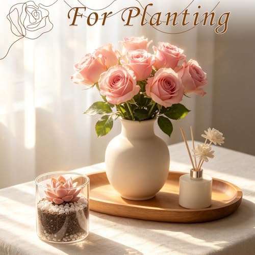 12 Pack Small Glass Cylinder Vases for Centerpieces, 4 Inch - Image 6