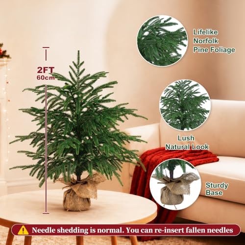 2 Pack 2FT Artificial Norfolk Pine Tree with Pot - Image 4