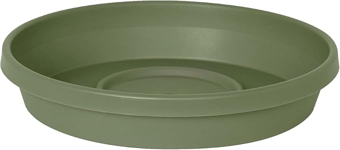 Bloem 6" Terra Round Plant Saucer, Lightweight UV-Resistant Resin Outdoor & Indoor Flower Pot Tray - Traditional Design and Durable for Garden and Home Décor - Fits 6-inch Planter Pots, Living Green