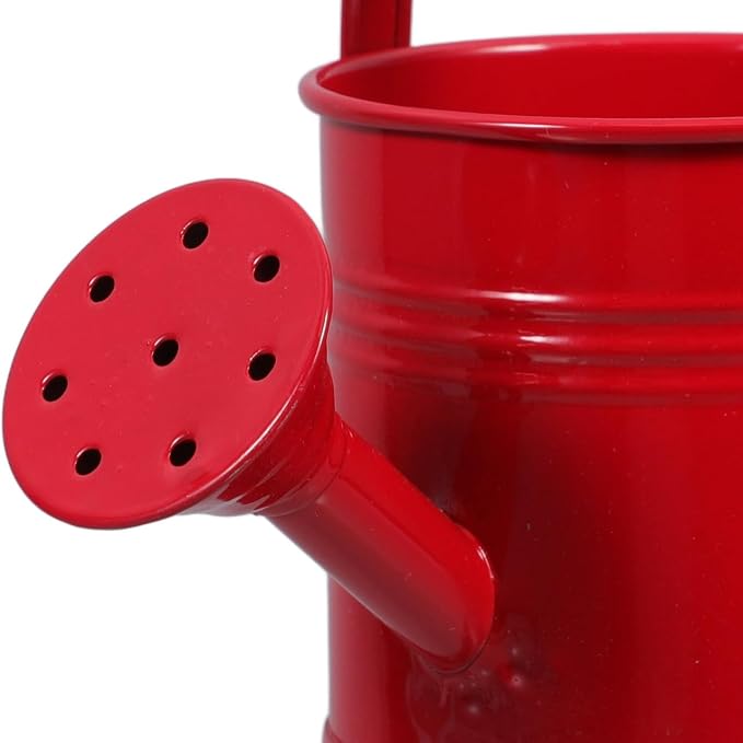 Toddmomy 2pcs Watering Can for Kids - Small Metal Watering Can Plant Watering Can for Boys and Girls Garden Yarde Home Use, 15X7.5CM, Red