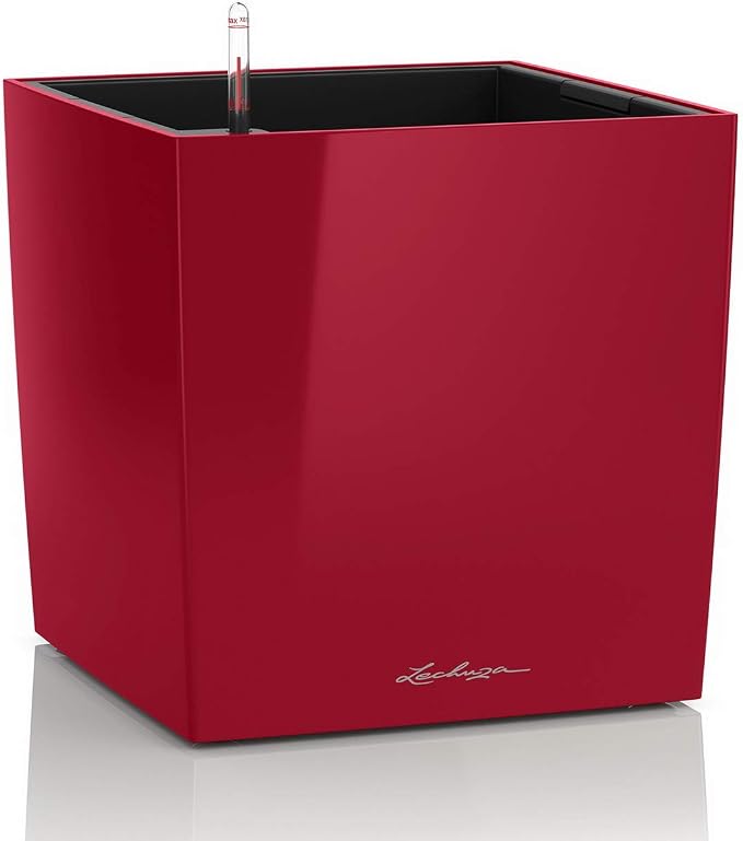 Lechuza Cube 50 Premium Scarlet Red High Gloss, Self-Watering Square Planter, H19.3 L19.3 W19.3 in
