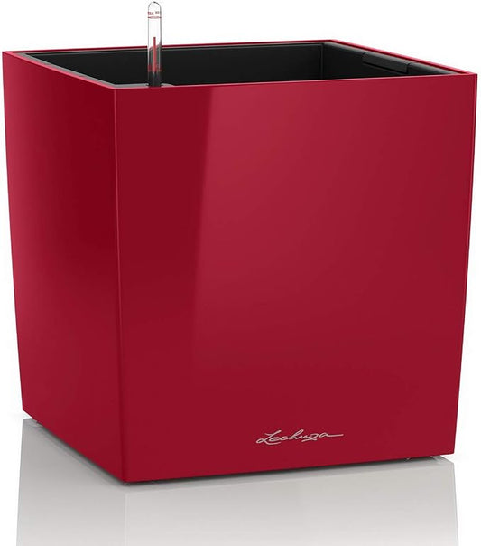 Lechuza Cube 50 Premium Scarlet Red High Gloss, Self-Watering Square Planter, H19.3 L19.3 W19.3 in