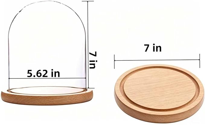 Glass Cloche Bell Jar Display Dome, Natural Wood Color, 6"x7" | Wooden Base, 1 Pack