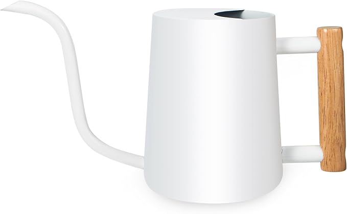 Watering Can Indoor Plants, 35oz Small Stainless Steel Metal Watering Can Modern Decorative Watering Pot with Long Spout for Indoor House Plant Bonsai Outdoor Garden Flowers -White