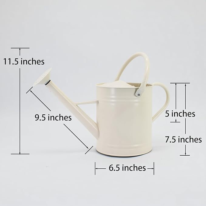 1 Gallon Matte Cream Metal Watering Can, Removable Spout | Cream White Galvanized Plant Water Can for Indoor and Outdoor Use