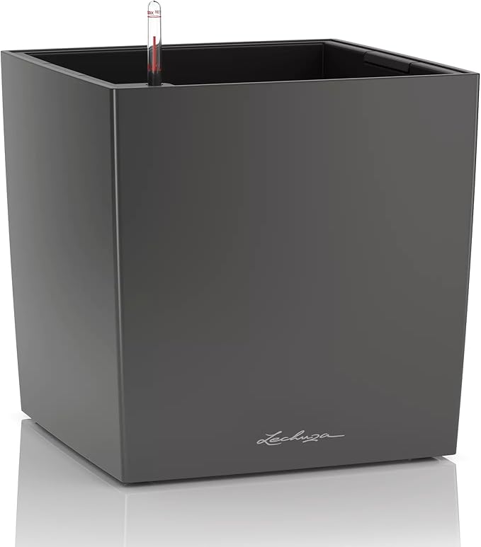 Lechuza Cube 50 Premium Charcoal Metallic, Self-Watering Square Planter, H19.3 L19.3 W19.3 in