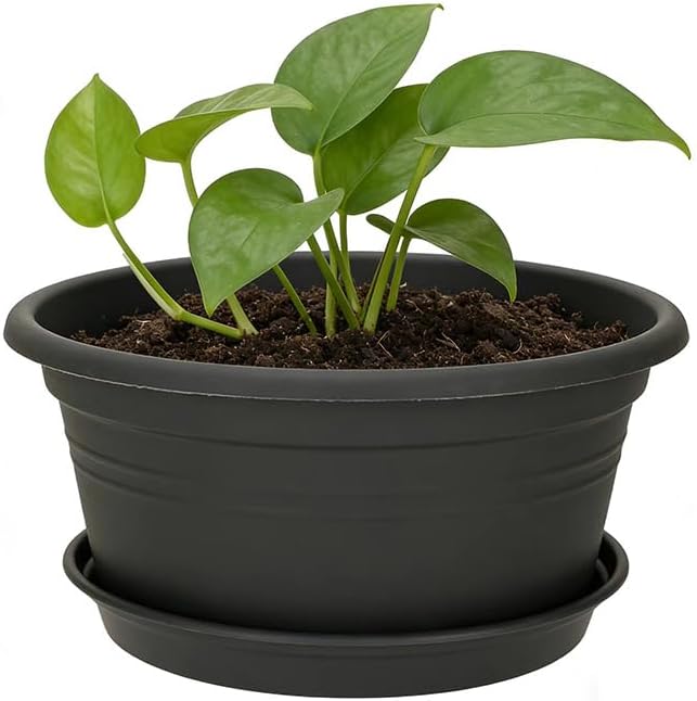 MRPAPA 6Pack Round Plastic Pots for Plants, Outdoor Planters with Drainage Hole & Tray Saucer, Decoration Large Flower Pots for Indoor Outdoor Garden Home Plants (6, Dark Gray, 10 Inch)