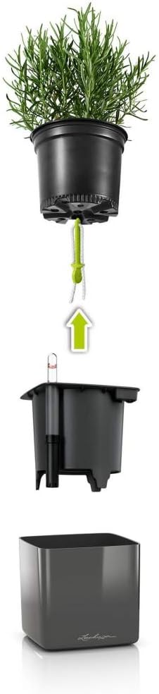 Lechuza Cube Glossy 16 Scarlet Red High Gloss, Self-Watering Indoor Small Plant Pot, H6.3 L6.7 W6.7 in