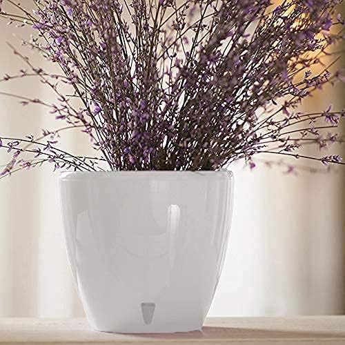 DECOPOTS - Self Watering Planter - Indoor Decorative Flower Pot with Drainage Cartridge and Water Level Indicator (Diameter 11.2", Transparent)