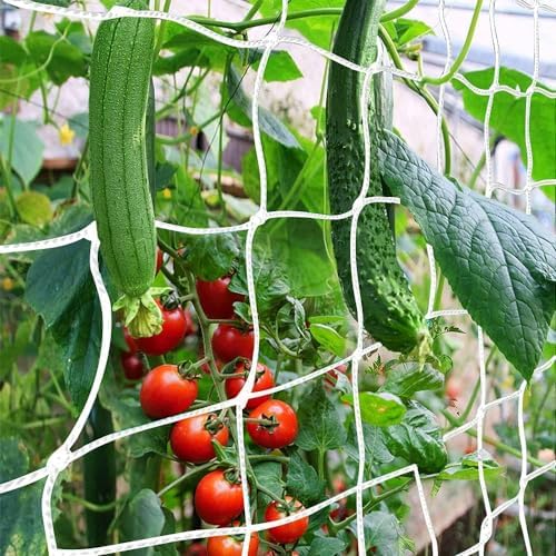Trellis Netting, CANAGROW Heavy-Duty Garden Plant Trellis Netting for Climbing Plants, Outdoor Indoor Grow Net for Beans Tomatoes Peas Pumpkin Flowers,   , Pack of 4 by CANAGROW