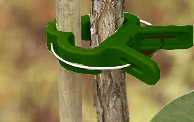80 Piece Green Gentle Gardening Plant & Flower Lever Loop Gripper Clips, Tool for Supporting or Straightening Plant Stems, Stalks, and Vines
