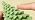 Conelist 6 Pcs Christmas Tree Candles Decorative Xmas Wax Candles Decor - Image 7