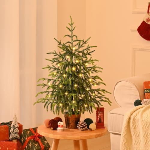 BLEUM CADE 2FT Small Norfolk Pine Tree with Lights, Tabletop Christmas Tree - Image 4