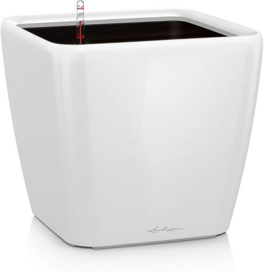 Lechuza Quadro LS 28 Cream White High Gloss, Self-Watering Square Planter, H10.2 L11 W11 in