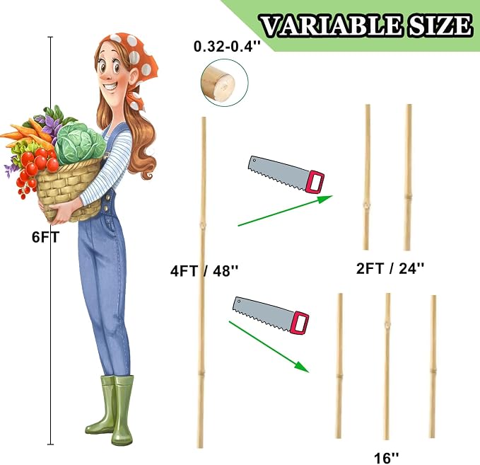 PFNRTH Bamboo Plant Stakes – 25pcs 4FT Natural Bamboo Garden Stakes for Tomatoes, Peppers, Beans, Indoor & Outdoor Plants, Sturdy Plant Support for Seedlings & Potted Plants
