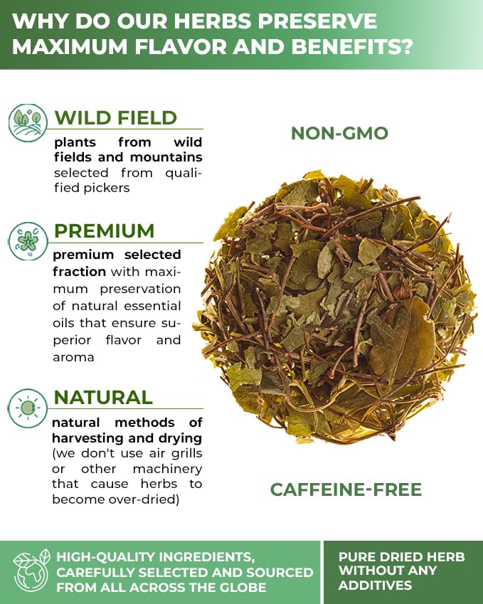 24 Bags Dried Cut Sidebells Wintergreen Herb Tea (Orthilia Secunda) - 24 Count 1.5g Tea Bags One-Sided Wintergreen Orthilia (Peralito)