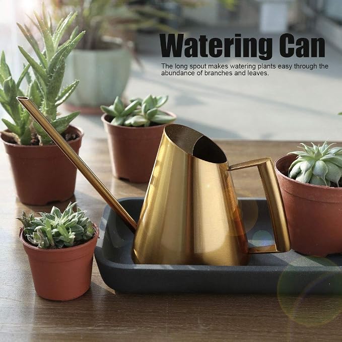 Watering Can for Indoor Plants, 13.5 Oz/400 Ml Indoor Plant Watering Can Stainless Steel Small Water Cans with Long Spout for Plants Succulent Bonsai, 4 X 4.9 Inch