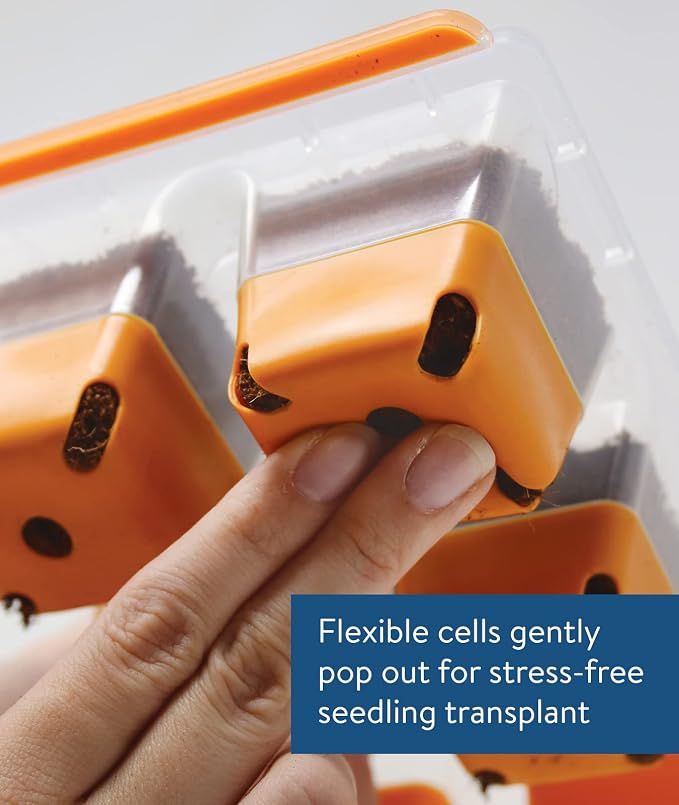 Burpee 36 & 8 Cell Seed Starting Trays | Reusable Indoor Vegetable, Flower & Herb Garden Kit | Flexible Silicone Cells for Reduced Transplant Stress
