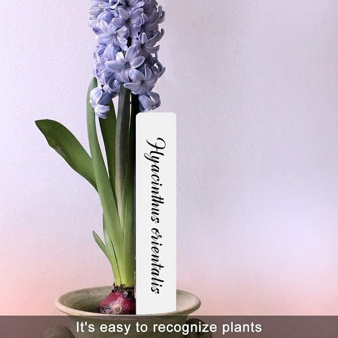 SumDirect Plastic Plant Labels, 300pcs 6 Inch White Waterproof Plant Name Tags for Nursery Garden Labels Markers Seedlings Plant Tags Tree Stake Tags