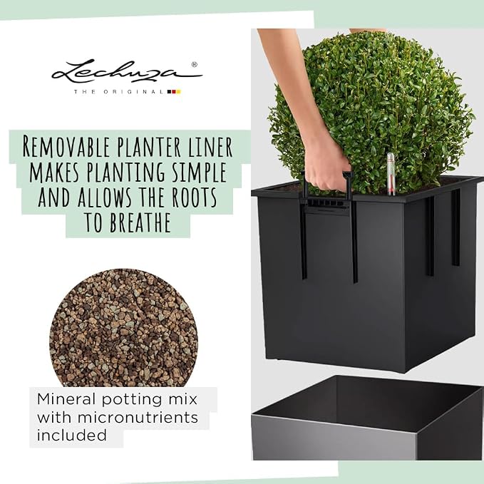 Lechuza Cube 50 Premium Charcoal Metallic, Self-Watering Square Planter, H19.3 L19.3 W19.3 in