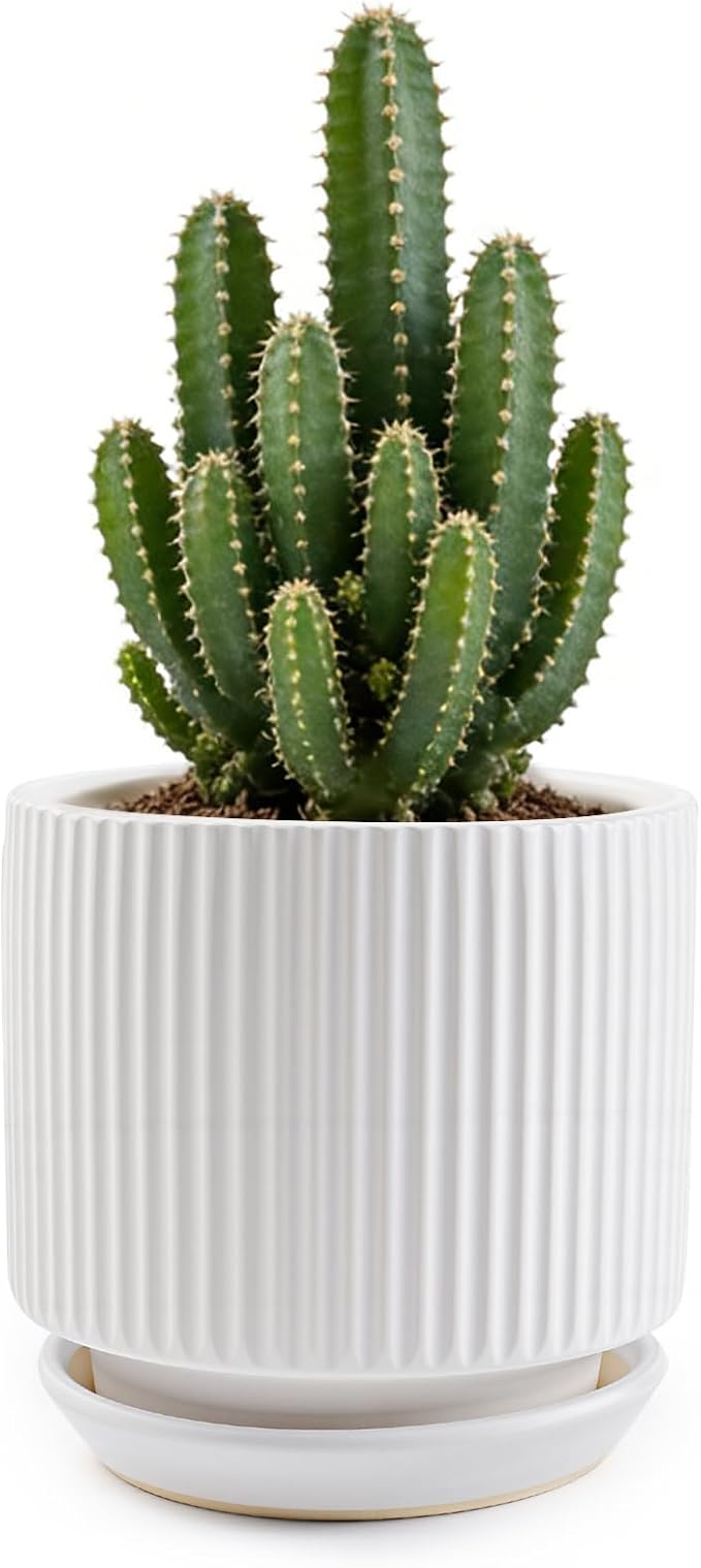 Ceramic-5.1-inch-Flower-Pots-with-Saucer, Small Planters for Indoor Plants with Drainage Hole, White Textured Vertical Stripe Plant Pots for Home Decor, Garden Pot For Succulent Cactus Mint Basil Herb