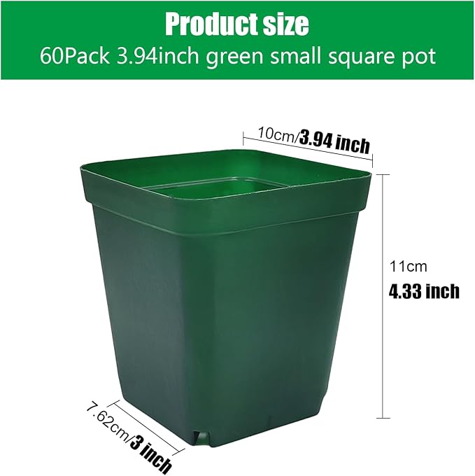 RooTrimmer Square Nursery Succulent Pots 4 Inches 60 Pcs Deep Flower Plant Nursery Seedling Grow Pots Plastic with Drainage (Green, 4Inches, 60Pcs)