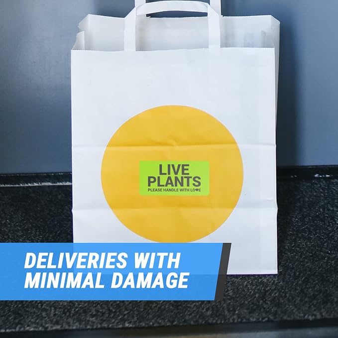 Live Plants Labels (4 x 2 Inch, Green - 300 Labels) - Please Handle with Care for Shipping & Handling Instructions, Warning/Caution Supplies & Shipping Plants Stickers