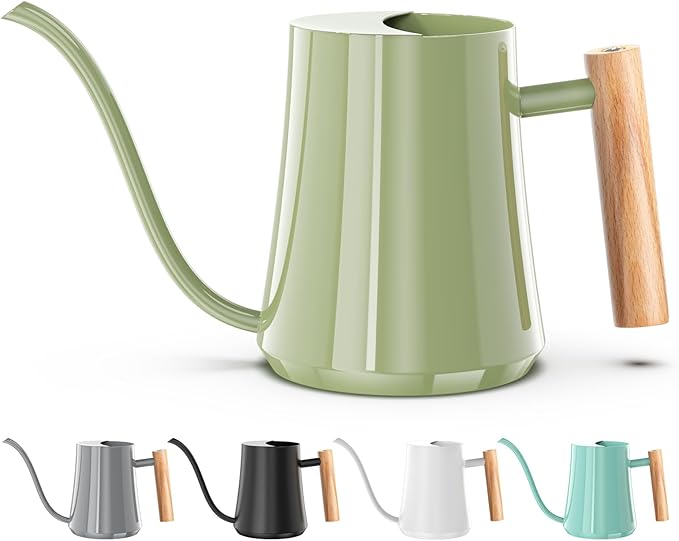 Green Moon 1L/35oz Metal Watering Can Indoor with Long Spout, Sage Green | Metal Stainless Steel Watering Can with Wood Handle for Indoor Plants, House Bonsai, Succulents, and Outdoor Garden Flowers