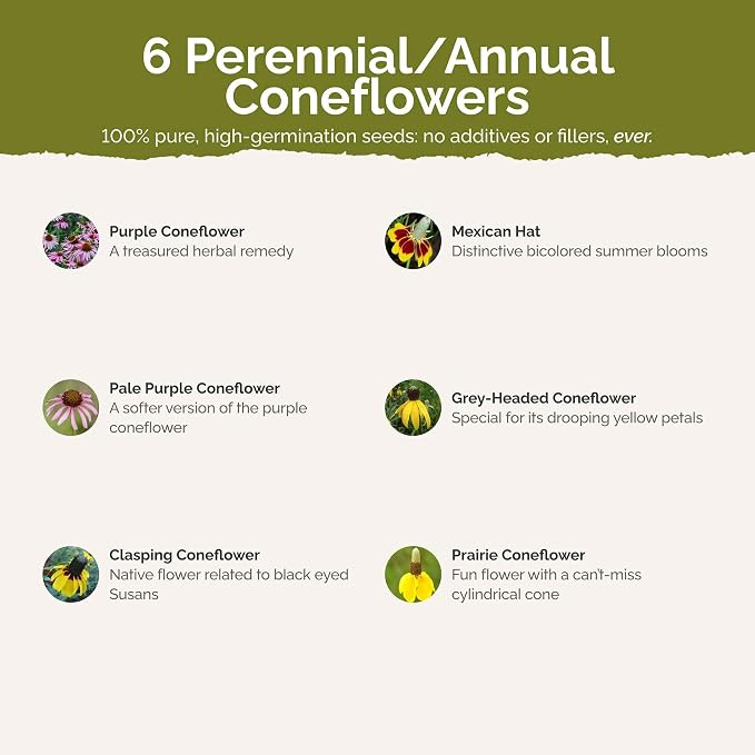 Eden Brothers Conehead Flower Mixed Seeds for Planting, 1/4 lb, 120,000+ Seeds with Prairie Coneflower, Mexican Hat | Attracts Pollinators, Plant in Spring or Fall, Zones 3, 4, 5, 6, 7, 8, 9, 10